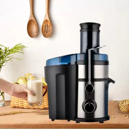 5-in-1 Juicer & Blender ©